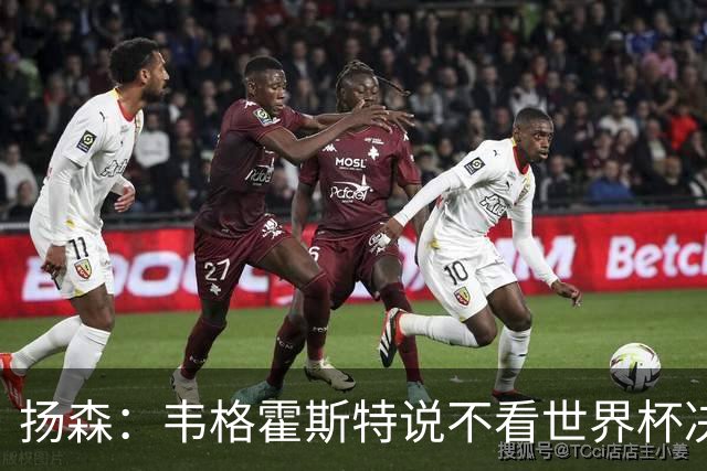 扬森：韦格霍斯特说不看世界杯决赛？他太爱作秀了