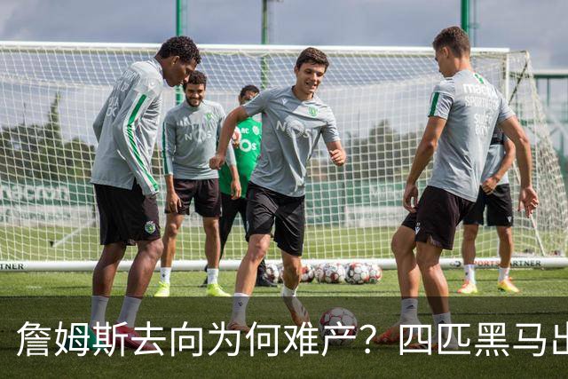 詹姆斯去向为何难产？四匹黑马出现加剧混乱